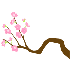 桜の枝3