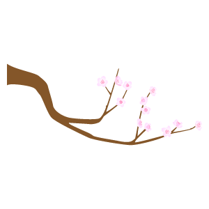 桜の枝6