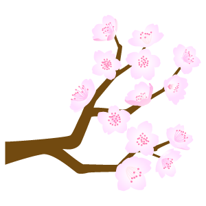 桜の枝10