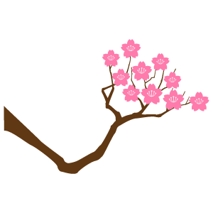 桜の枝11