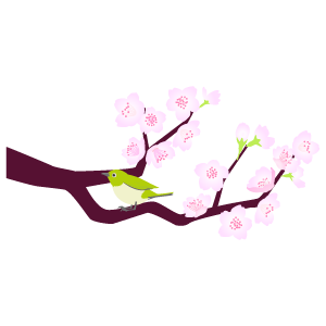桜の枝12