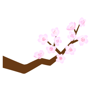 桜の枝13