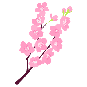 桜の枝18 花 植物イラスト Flode Illustration フロデイラスト