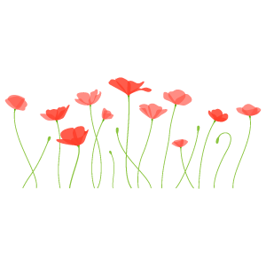 ポピーの花のイラスト7 花 植物イラスト Flode Illustration フロデイラスト