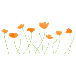 ポピーの花のイラスト8 花 植物イラスト Flode Illustration フロデイラスト