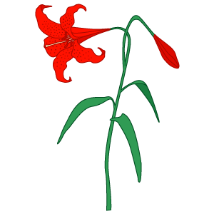 ユリの花のイラスト1 花 植物イラスト Flode Illustration フロデイラスト