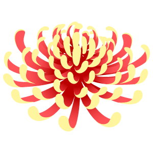菊の花1