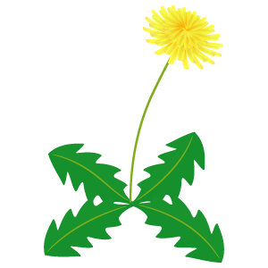 タンポポの花6 花 植物イラスト Flode Illustration フロデイラスト