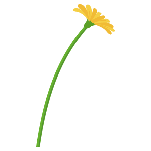 タンポポの花8