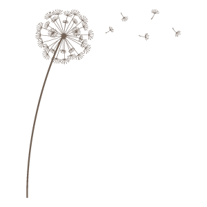 タンポポの綿3 花 植物イラスト Flode Illustration フロデイラスト