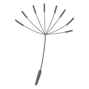 タンポポの種 花 植物イラスト Flode Illustration フロデイラスト