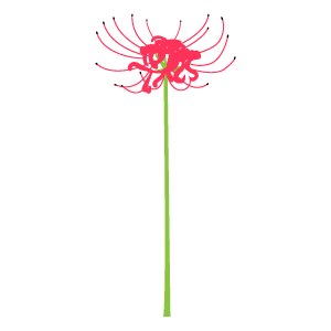 彼岸花のイラスト3 花 植物イラスト Flode Illustration フロデイラスト