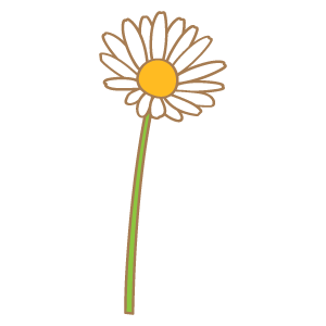 カモミールの花素材4 花 植物イラスト Flode Illustration フロデイラスト