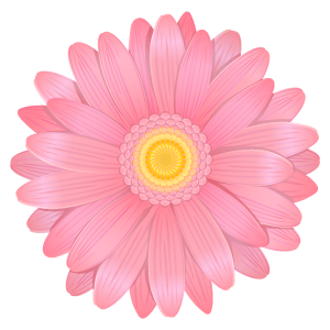ガーベラの花1 花 植物イラスト Flode Illustration フロデイラスト