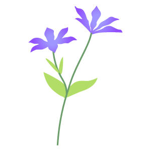 クレマチスの花2 花 植物イラスト Flode Illustration フロデイラスト