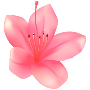 サツキの花5 花 植物イラスト Flode Illustration フロデイラスト