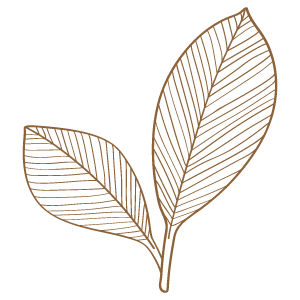 葉っぱのイラスト素材43 花 植物イラスト Flode Illustration フロデイラスト