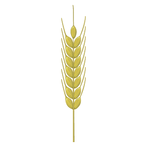 麦のイラスト2 花 植物イラスト Flode Illustration フロデイラスト