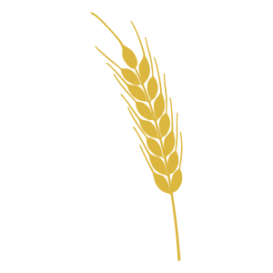 麦のイラスト3 花 植物イラスト Flode Illustration フロデイラスト