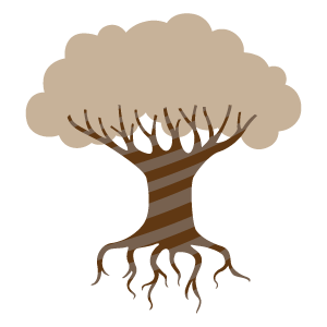 バオバブの木6