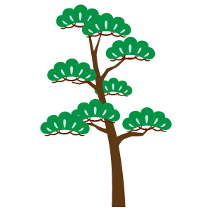 松の木8