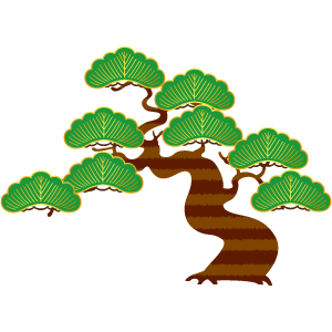 松の木9