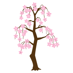 しだれ桜2 花 植物イラスト Flode Illustration フロデイラスト