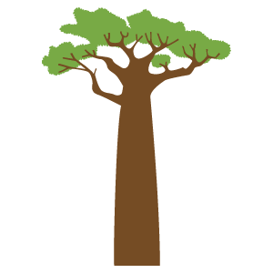 バオバブの木7