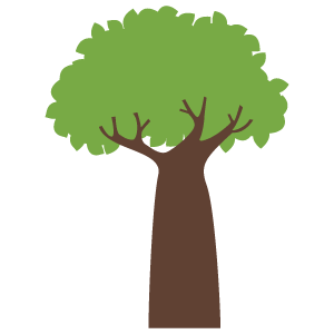 バオバブの木9