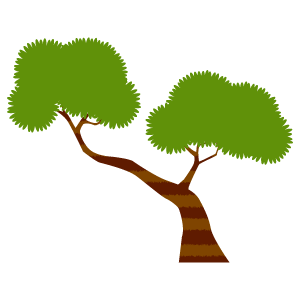松の木18