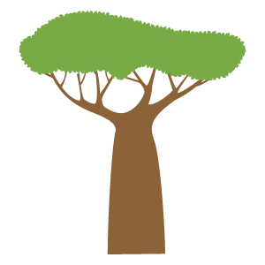 バオバブの木1