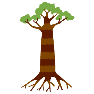 バオバブの木5