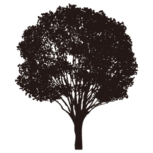 木のシルエット1 花 植物イラスト Flode Illustration フロデイラスト