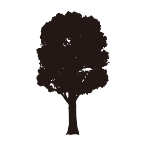 木のシルエット3 花 植物イラスト Flode Illustration フロデイラスト