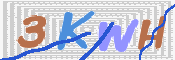 キャプチャ画像