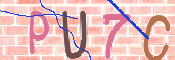 キャプチャ画像