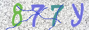 キャプチャ画像