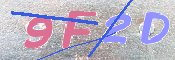 キャプチャ画像
